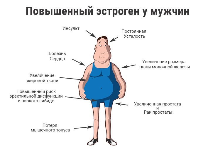 Естрадіол: що це таке, норма гормону за віком у чоловіків, причини високих та низьких показників